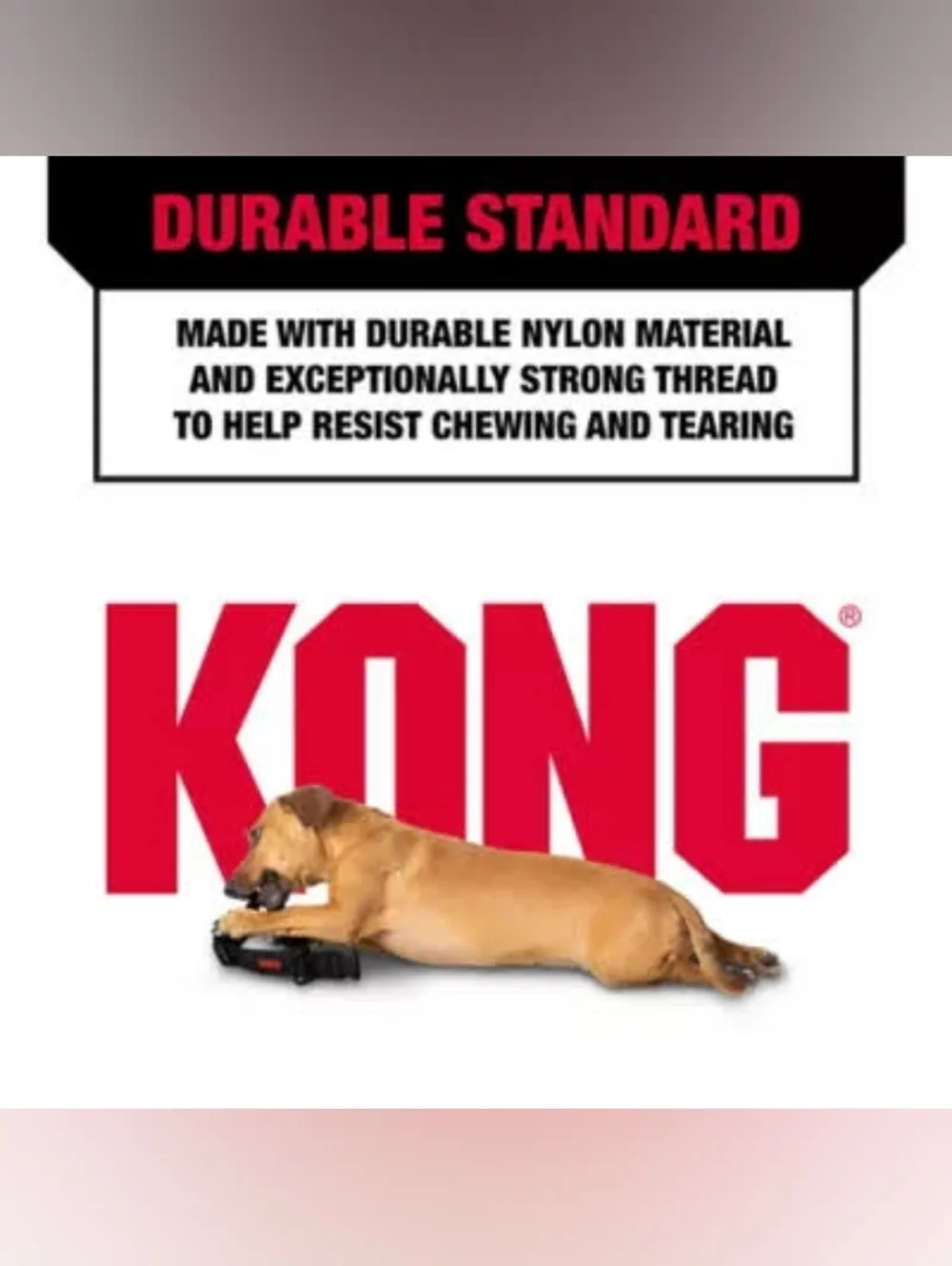 NWT • KONG® Max HD Ultra Durable Dog Collar with Handle (Pink) • Various Sizes